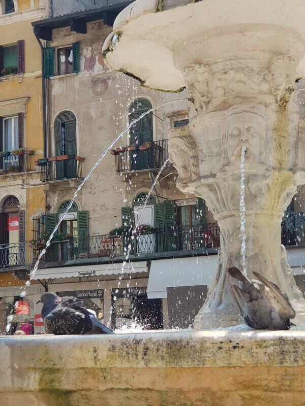 one day in verona