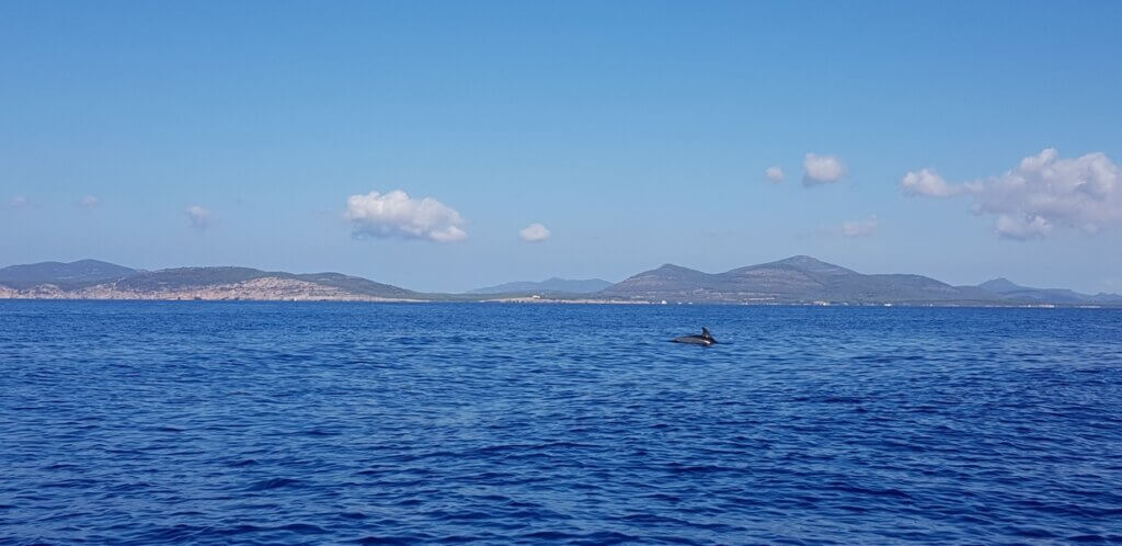 budget-friendly sardinia